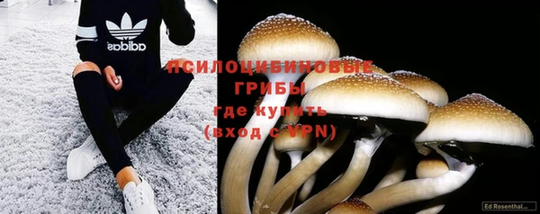 дмт Аркадак
