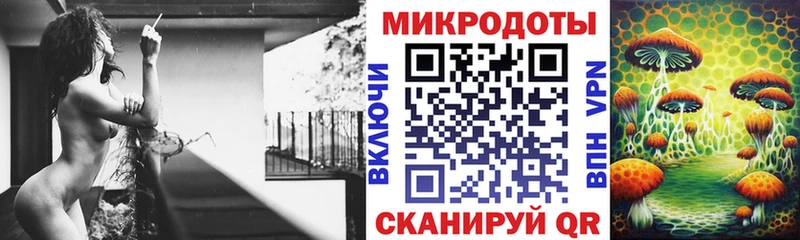 как найти закладки  Новохопёрск  Галлюциногенные грибы Psilocybe 