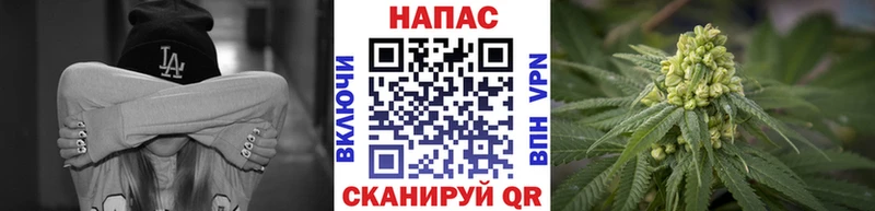 Канабис OG Kush Новохопёрск